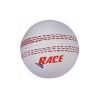Promotional Cricket Ball 2